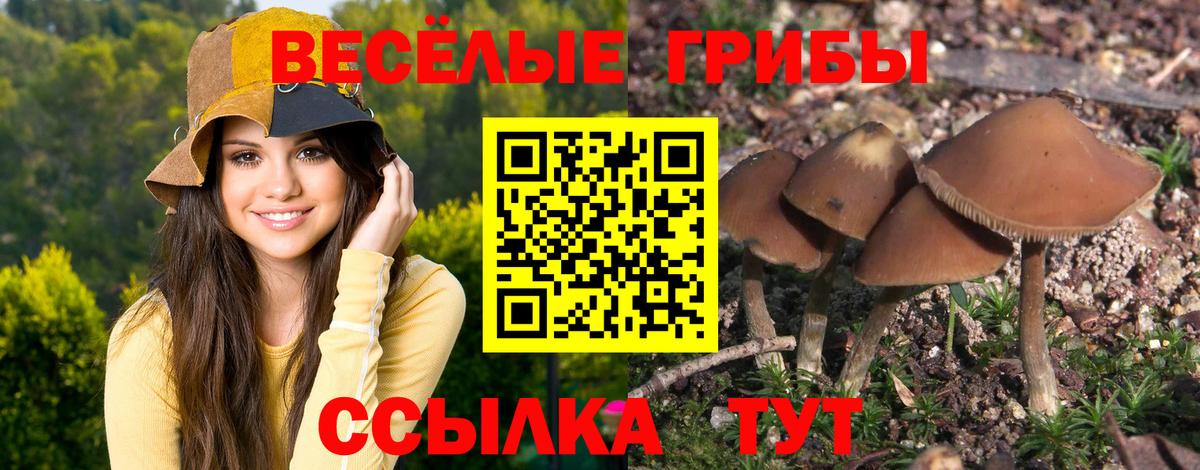 Псилоцибиновые грибы GOLDEN TEACHER Всеволожск