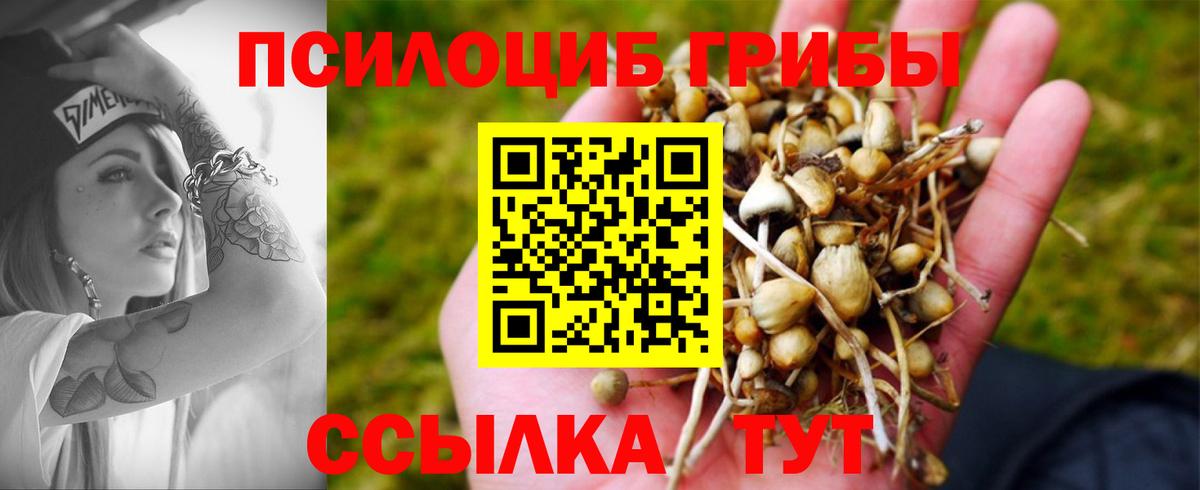 Всеволожск  магазин  наркотиков  Вход с VPN  Галлюциногенные грибы Cubensis  Псилоцибиновые грибы Psilocybine cubensis 